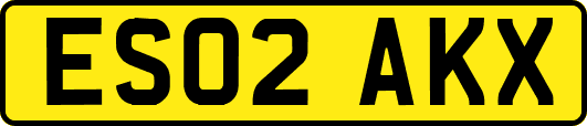 ES02AKX