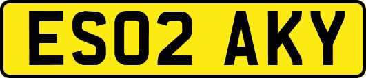 ES02AKY