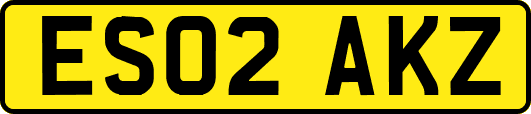ES02AKZ