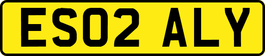 ES02ALY