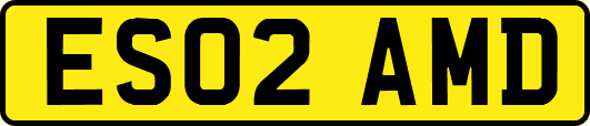 ES02AMD