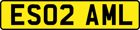 ES02AML