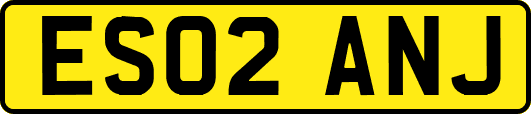 ES02ANJ
