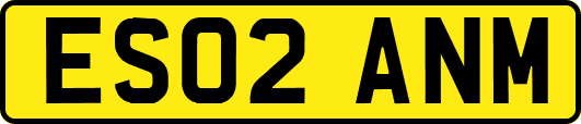 ES02ANM