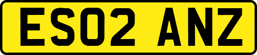 ES02ANZ