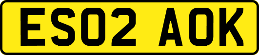 ES02AOK