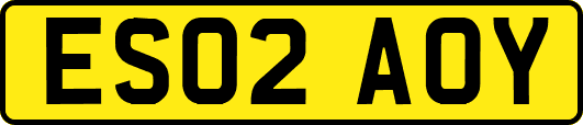 ES02AOY