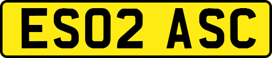 ES02ASC