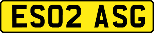 ES02ASG