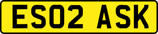 ES02ASK