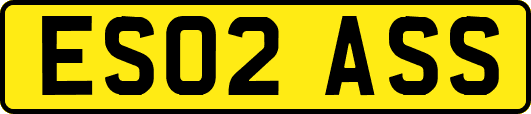 ES02ASS