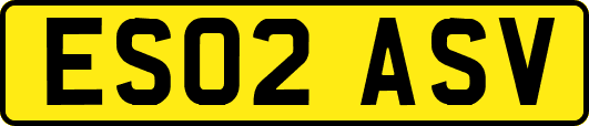 ES02ASV