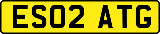 ES02ATG