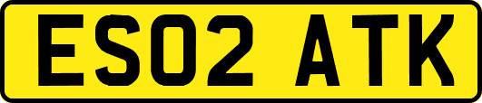 ES02ATK