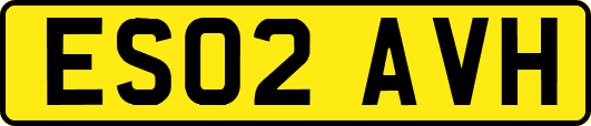 ES02AVH