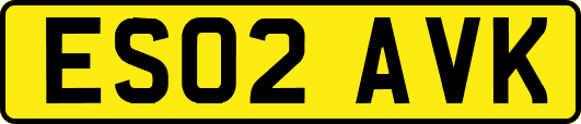ES02AVK