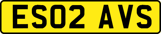 ES02AVS