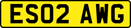 ES02AWG