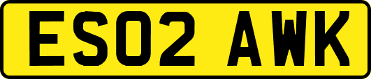 ES02AWK