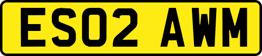 ES02AWM