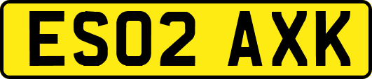 ES02AXK