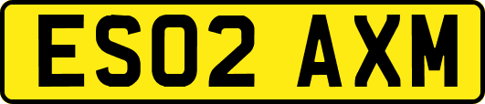ES02AXM