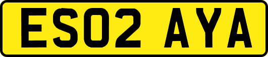ES02AYA