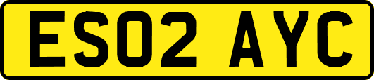 ES02AYC