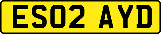 ES02AYD