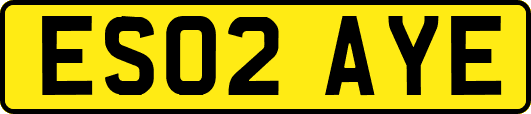 ES02AYE