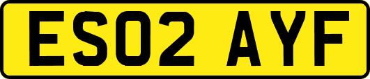 ES02AYF