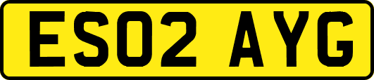 ES02AYG