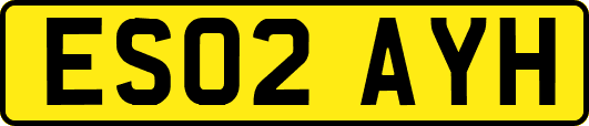 ES02AYH