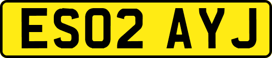 ES02AYJ