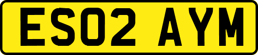 ES02AYM