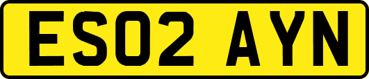 ES02AYN