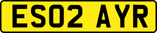 ES02AYR