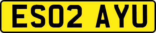 ES02AYU
