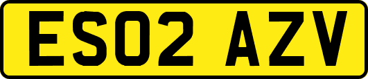 ES02AZV