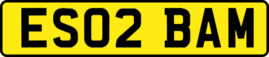 ES02BAM