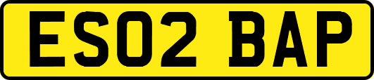 ES02BAP