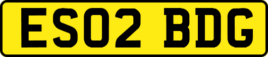 ES02BDG