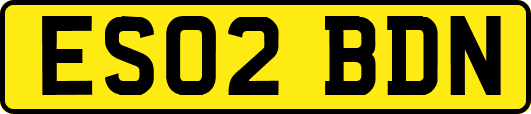 ES02BDN