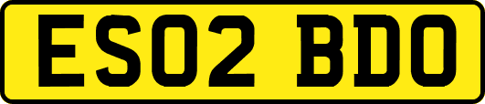 ES02BDO