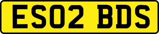 ES02BDS