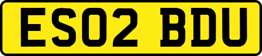 ES02BDU