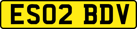 ES02BDV