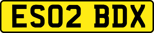 ES02BDX