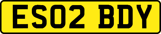 ES02BDY