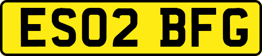 ES02BFG